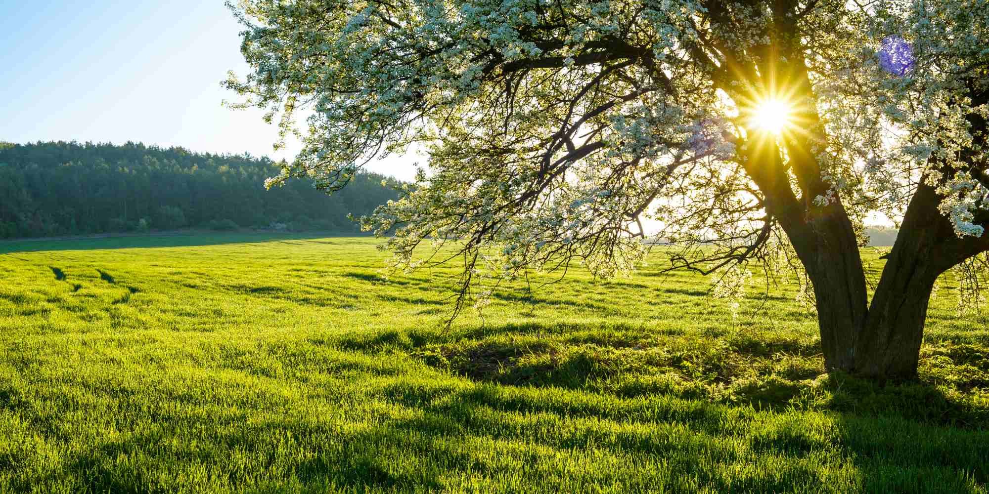 Spring is the unofficial construction season kick off Thompson Custom Homes