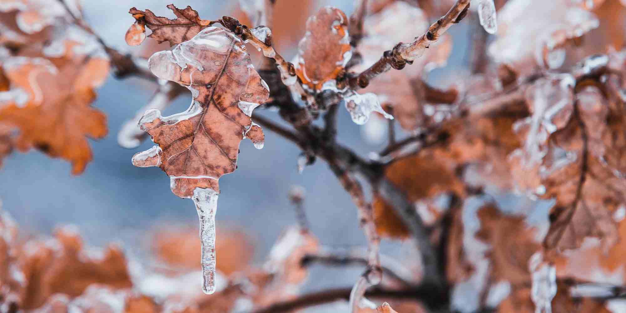 Winter can be beneficial to build by Thomspon Communites Custom Homes & Renovations